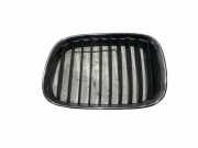 Vorderer oberer Gitter BMW 5 Touring (E39) 530 d 8184531