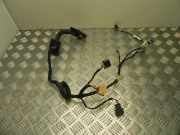 Kabel Tür Skoda Fabia III (NJ) 6V0971121T