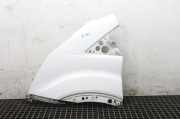 Kotflügel links vorne Ford Transit V363 Pritsche/Fahrgestell (FED, FFD)