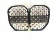 Vorderer oberer Gitter BMW 4 Coupe (G22, G82) 420 i 1.6 7486810