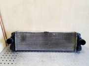 Ladeluftkühler Mercedes-Benz Sprinter 5t Kasten (906) A9065010201