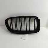 Gitter Grill vorne rechts BMW 5 Touring (F11) M 550 d xDrive