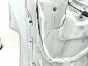 Tür links vorne Renault Master III Kasten (FV)