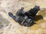 AGR-Ventil LAND ROVER RANGE ROVER VELAR (L560) 2.0 D 4x4 704924110