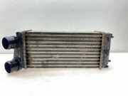 Ladeluftkühler PEUGEOT 307 SW (3H) 1.6 HDI 110 9648551880