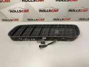 Gitter BMW X5 (E53) 3.0 d 51138402669