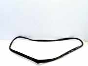 Türgummi rechts hinten Hyundai i20 (GB)