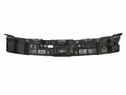 Anderes Undercover Panel RENAULT LAGUNA III (BT0/1) 2.0 dCi (BT01, BT09, BT12, BT1S) 850320001