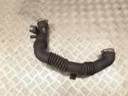 Luftansaugrohr MAZDA DEMIO (DW) 1.5 16V