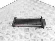 Elektrischer Schulterschulterkühler