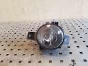 Nebelscheinwerfer links vorne BMW X6 (E71, E72) 89206281