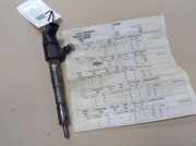 Einspritzdüse OPEL ZAFIRA B (A05) 1.9 CDTI 0445110243