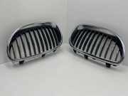 Vorderer oberer Gitter