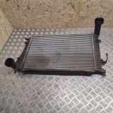 Ladeluftkühler VW Passat B6 (3C2)