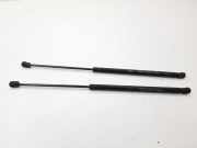 Heckklappe Gasdruckfeder links OPEL ASTRA G Cabrio (F67) 2.0 OPC 206319