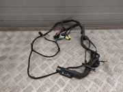 Kabel Tür Audi A5 (F53) 8T1971029Q