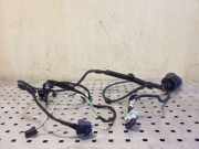 Kabel Tür Citroen C4 II Picasso () 9663280480