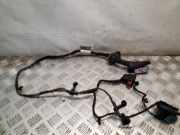 Kabel Tür Opel Meriva B () 13346035