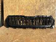 Kühlergrill oben Skoda Kodiaq I (NS6, NS7, NV7) 565853653G