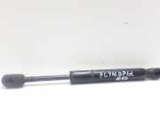 Heckklappendämpfer rechts Porsche Cayenne 1 (9PA) 7L5845587B