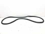 Dichtung für Koffer-/Laderaumklappe Citroen C4 II Grand Picasso ()