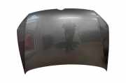 Motorhaube VW Polo V (6R, 6C)
