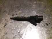 Düsenstöcke Renault Scenic II (JM)