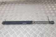 Heckklappendämpfer links Peugeot 406 Break (8E/F) D56070