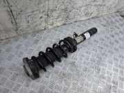Stoßdämpfer hinten links BMW 5 (G30) 520 d 6880083