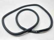 Türdichtung VW Passat B8 (3G) 561867914G