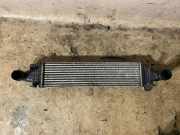 Ladeluftkühler MERCEDES-BENZ C Coupe (C204) C 250 CDI (204.303) A2045000200