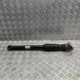 Stoßdämpfer hinten links AUDI A5 Sportback (F5A) 35 TFSI Mild Hybrid 8W0513035AD B9R1H060