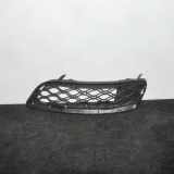 Gitter Grill vorne rechts BMW X3 (F25) xDrive 35 i 7249582