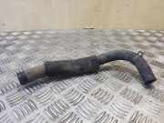 Schlauch Kühlung KIA SPORTAGE V (NQ5) 1.6 T-GDI AWD 256502F000