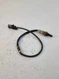 Sauerstoffsensor (Lambdasensor) SEAT IBIZA IV (6J5, 6P1) 1.6 TDI 03F906262B