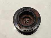 RIEMENSCHEIBE BMW X5 (E53) 3.0 d 247890