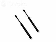 Gasfeder für Motorhaube Volvo XC60 I (156) D56070K0