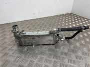 Ladeluftkühler Opel Astra K (B16) 55512943