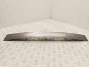Kennzeichenbeleuchtung CITROËN DS4 1.6 BlueHDi 120 9687506277