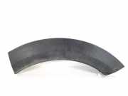 Kotflügelzierleiste hinten links