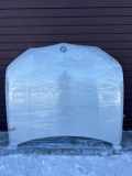 Motorhaube BMW X5 (G05) xDrive 30 d 41007492375