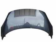 Motorhaube Renault Grand Scenic III (JZ)