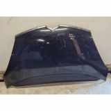 Motorhaube CITROËN C4 Grand Picasso I (UA_) 1.6 VTi 120