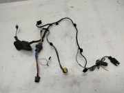 Kabel Tür vorne rechts RENAULT LAGUNA II Grandtour (KG0/1_) 2.2 dCi (KG0F) 8200309005