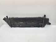 Ladeluftkühler NISSAN MICRA III (K12) 1.5 dCi 14461BC400