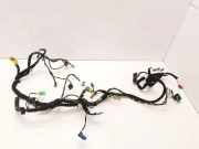 Kabelbaum PEUGEOT 607 (9D, 9U) 2.7 HDi 24V 9663961380
