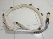 Airbag Dach links Cadillac SRX 1 () DF4730Q9G0KTM1