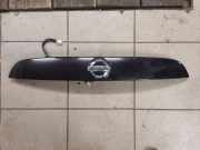 Kennzeichenbeleuchtung NISSAN JUKE (F15) 1.6 1KR6A