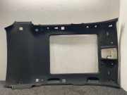 Dachverkleidung BMW X3 (F25) xDrive 20 d