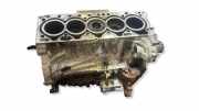 Motorblock VOLVO V70 III (BW) D5 D5244T11